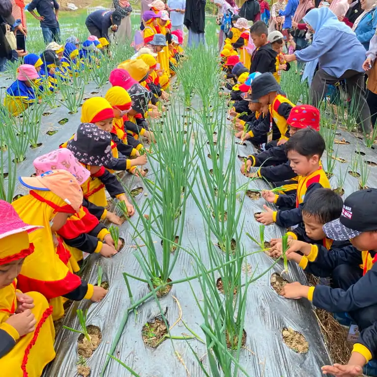 momen keseruan kegiatan di RA Mutiara Islam Kendari | TK Sekolah Playgroup Terbaik di Kendari